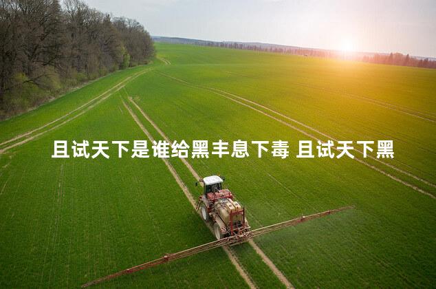 且试天下是谁给黑丰息下毒 且试天下黑丰息是兰息公子